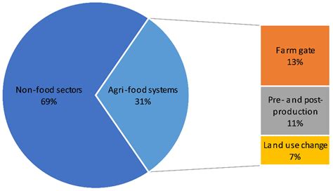  Organic Rice Farming: A Journey Through Sustainable Agriculture